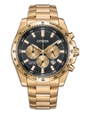 Citizen Classic sport chronograph AN8233-51E