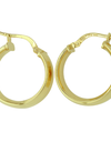 Earring - 9ct gold silver filled IE0934